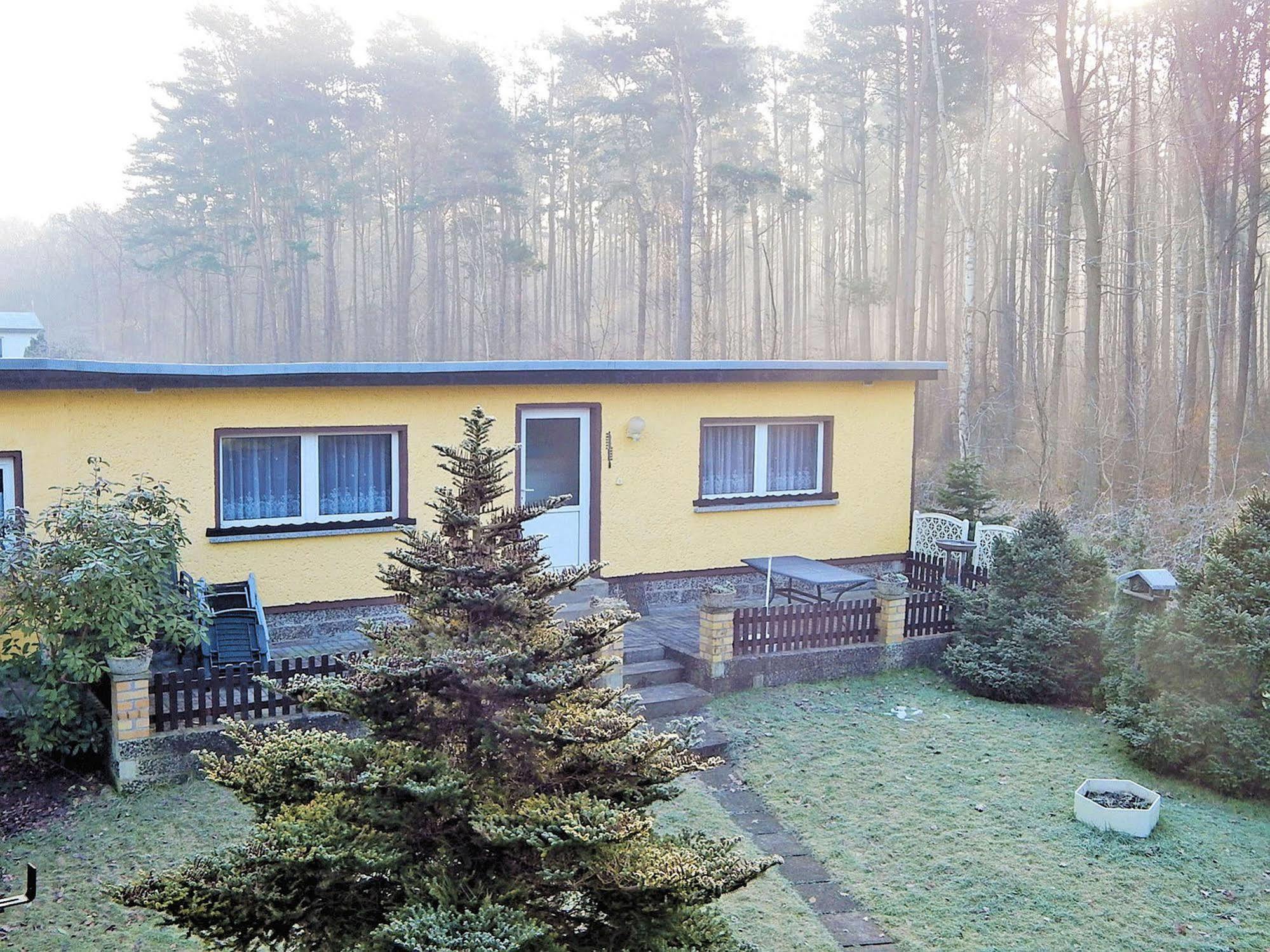 Ferienhus Baabe Fewo 01 Terrasse, Sauna- Und Schwimmbadnutzung Im Ahoi Sellin Екстериор снимка